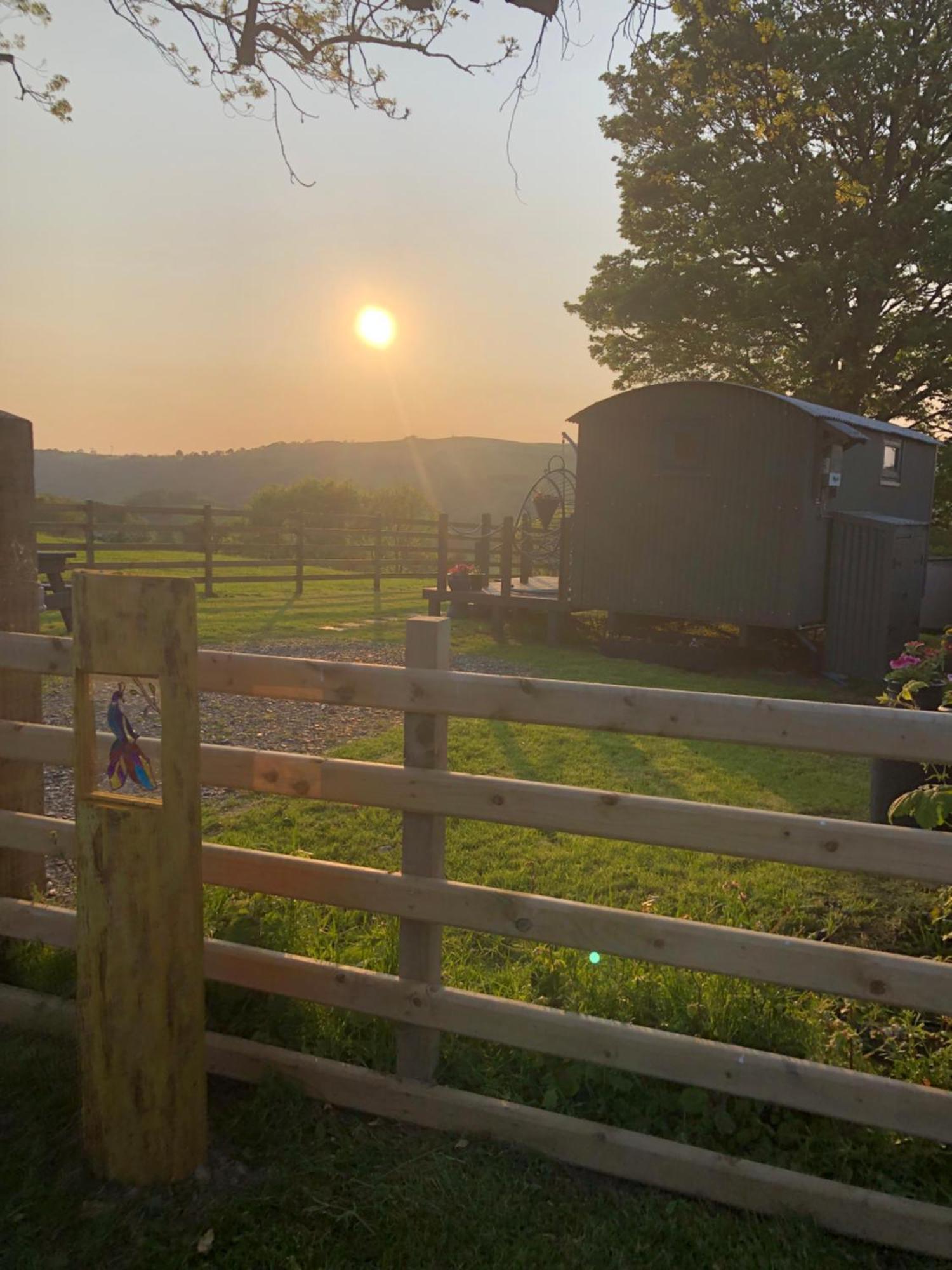 The Peacock Shepherds Hut At Hafoty Boeth Corwen Eksteriør billede