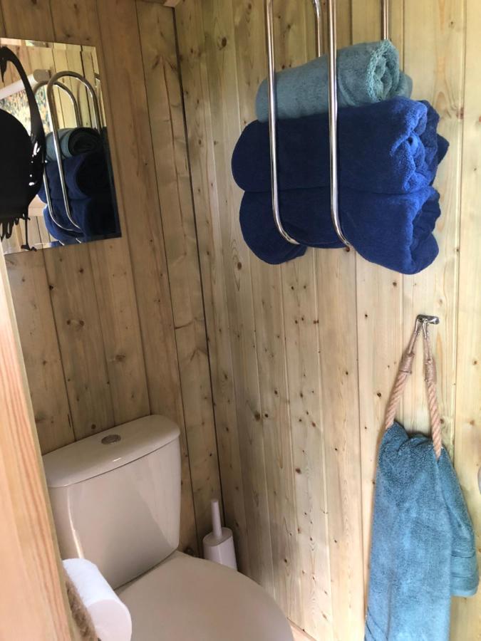 The Peacock Shepherds Hut At Hafoty Boeth Corwen Eksteriør billede