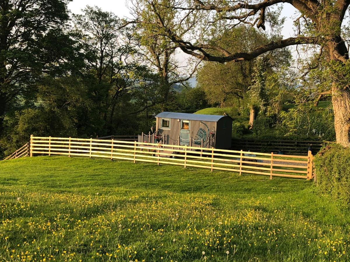 The Peacock Shepherds Hut At Hafoty Boeth Corwen Eksteriør billede