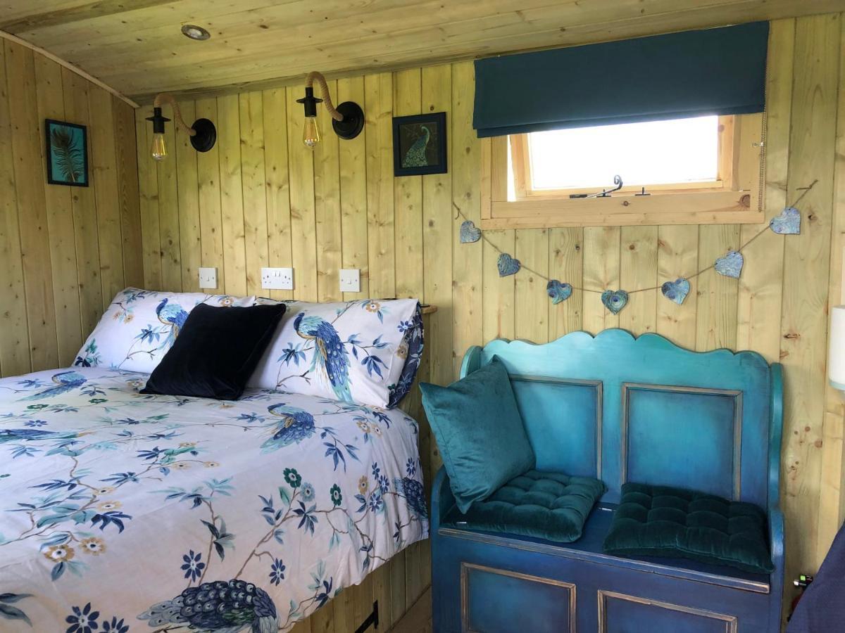 The Peacock Shepherds Hut At Hafoty Boeth Corwen Eksteriør billede